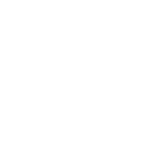 Custom Solutions